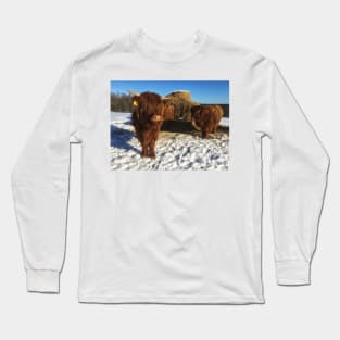 Scottish Highland Cattle Calves 1932 Long Sleeve T-Shirt